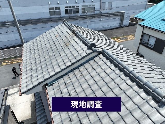 現地調査